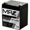 MAZ Akü 12 Volt 4.2 Amper Kuru AGM VRLA UPS Akü (12 V 4.2 AH)